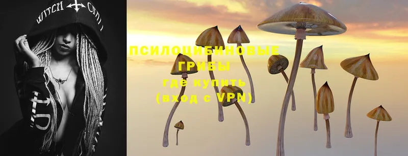 Галлюциногенные грибы Magic Shrooms  Томск 