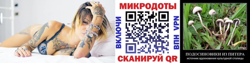гидра ССЫЛКА  Томск  Псилоцибиновые грибы MAGIC MUSHROOMS 