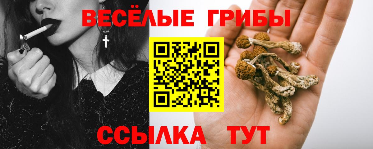 Томск  Мяу-Мяу  Вход с VPN  COCAIN  Гарик  Меф  МАРИХУАНА  Ляпка 